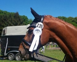 dressage horse Lady Liberty 40 (Rhinelander, 2011, from Lord Carnaby)