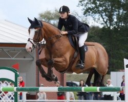 stallion Wheaweij de Landetta (KWPN (Royal Dutch Sporthorse), 2003, from Carnute)