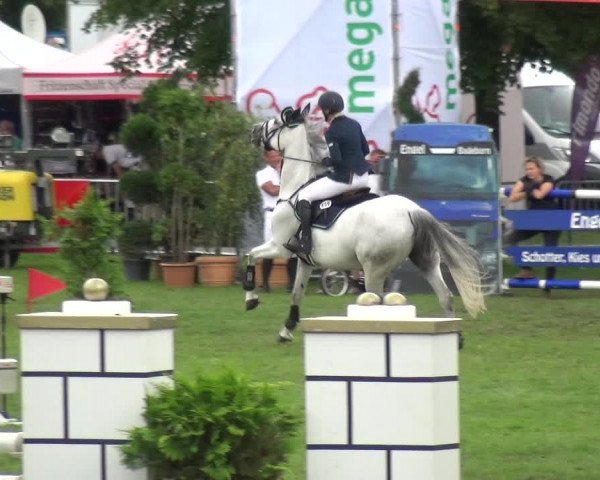 Reitturnier Aschersleben 2017