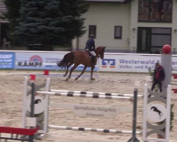 Summermeeting der Springreiter in der ParkArena 2017