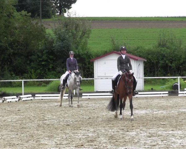 Reitturnier Menden 2017