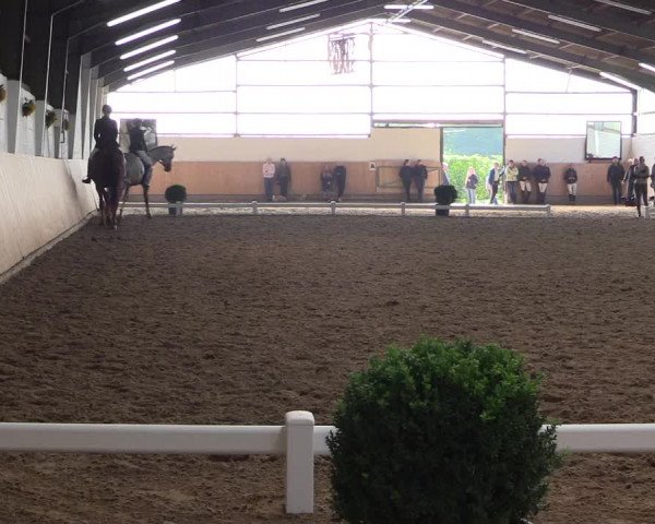 Reitturnier Datteln 2017