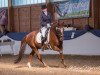 dressage horse Douglass (German Riding Pony, 2005, from Don't Worry Be Happy)