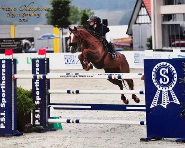 jumper Senghor de L'Aulne (Selle Français, 2006, from Airborne Montecillo)