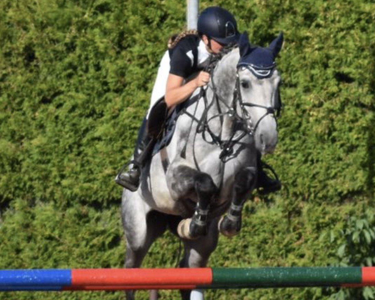broodmare Lipstick B (Zweibrücken, 2012, from Lucky Boy D)