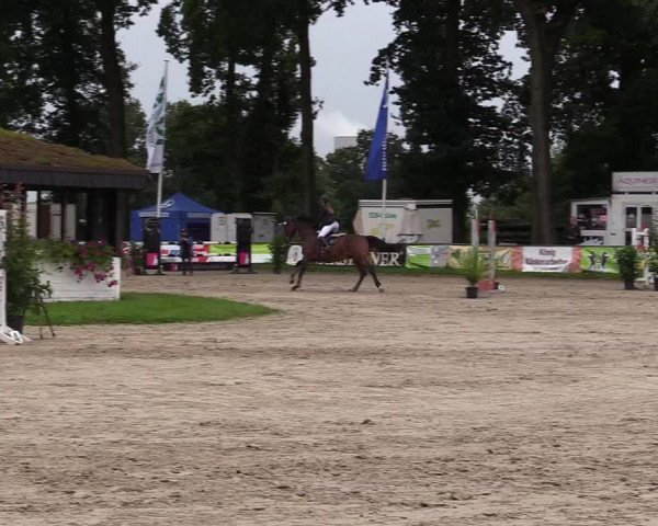 Reitturnier Datteln 2017