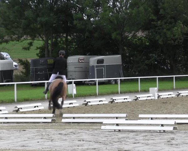 Reitturnier Menden 2017