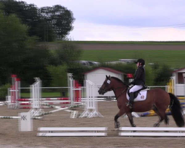 Reitturnier Menden 2017