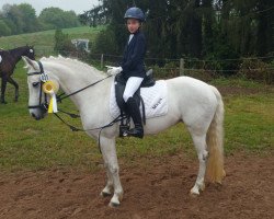 dressage horse Kinzighausen Golden Maya (Connemara Pony, 2008, from Glaskopf Golden Malcolm)