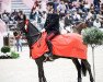 jumper Carlotta 232 (Oldenburg show jumper, 2009, from Chaccomo)