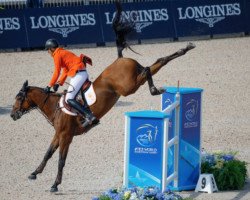 jumper Sterrehof's Calimero (KWPN (Royal Dutch Sporthorse), 2007, from Quidam de Revel)