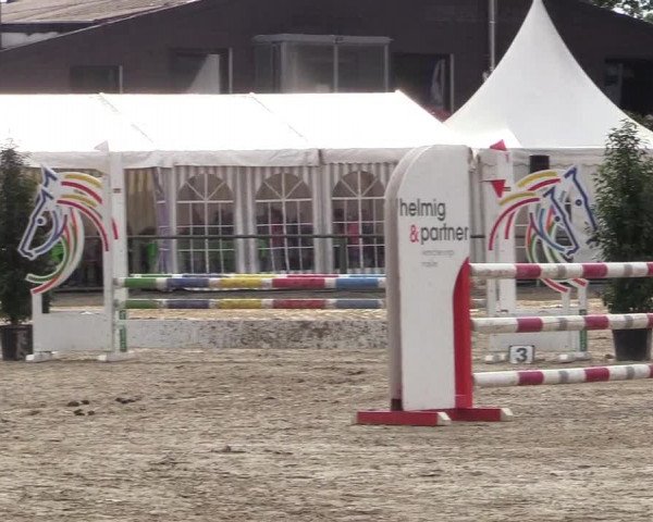 Reitturnier Datteln 2017