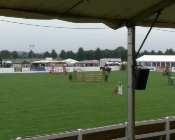 Reitturnier Mühlengeez 2017
