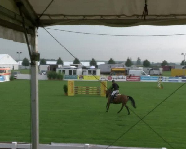 Reitturnier Mühlengeez 2017