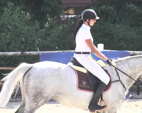Reitturnier Illertissen 2017