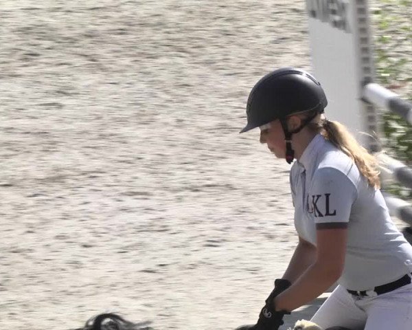 Reitturnier Illertissen 2017