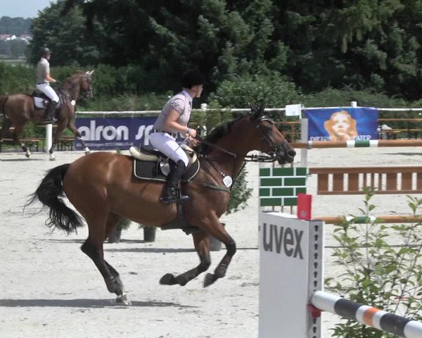 Reitturnier Illertissen 2017