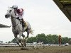 broodmare Joyful Victory xx (Thoroughbred, 2008, from Tapit xx)