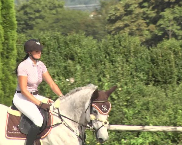 Reitturnier Illertissen 2017