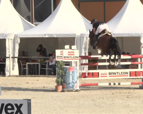 Reitturnier Illertissen 2017