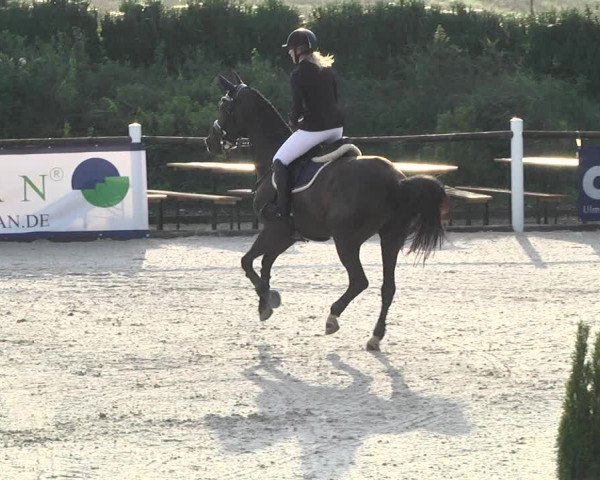 Reitturnier Illertissen 2017