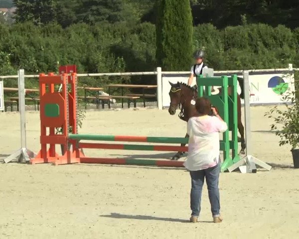 Reitturnier Illertissen 2017