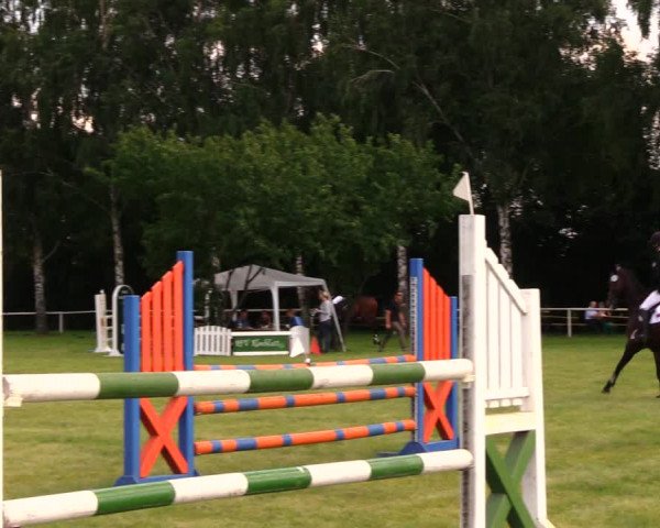 Reitturnier Berlin-Malchow 2017