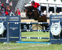 broodmare Carvella Z (Zangersheide riding horse, 2007, from Caretano Z)