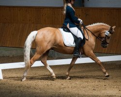 Zuchtstute Vera's Beste (Deutsches Reitpony, 2011, von VIP)