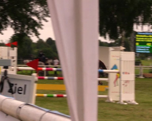 Reitturnier Berlin-Malchow 2017