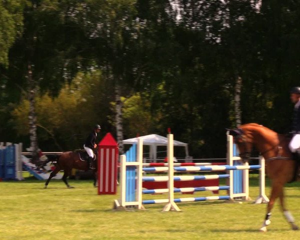 Reitturnier Berlin-Malchow 2017