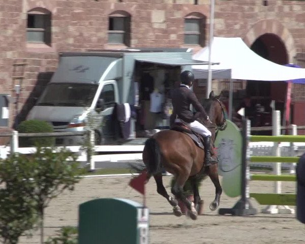 Reitturnier Zweibrücken 2017