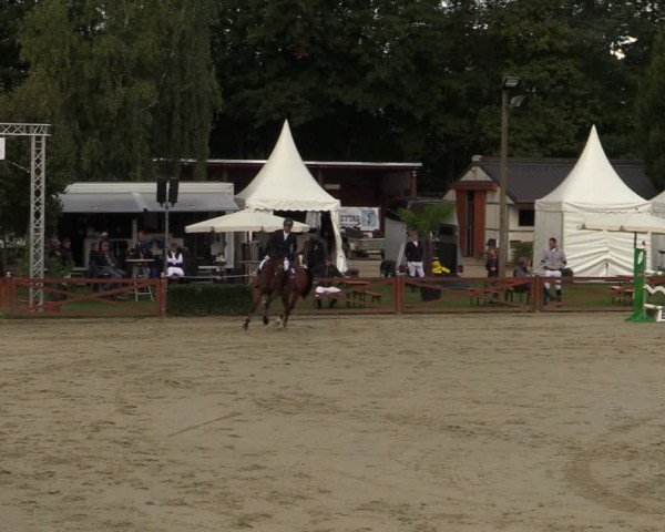 Equus Colonius - Reitanlage Brüse Köln 2021