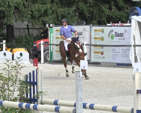 Reitturnier Illertissen 2017