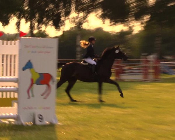 Reitturnier Berlin-Malchow 2017