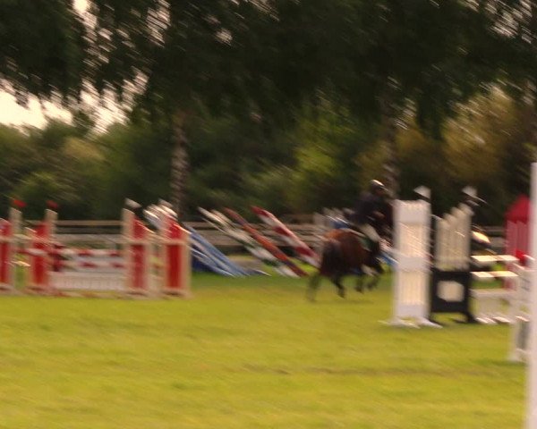 Reitturnier Berlin-Malchow 2017
