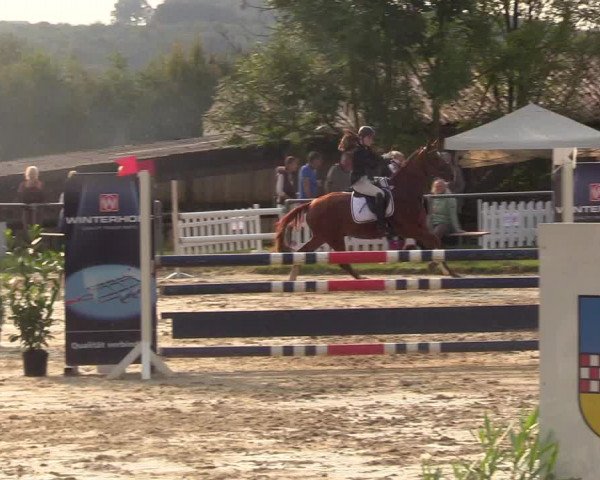 Reitturnier Bühren-Breckerfeld 2017
