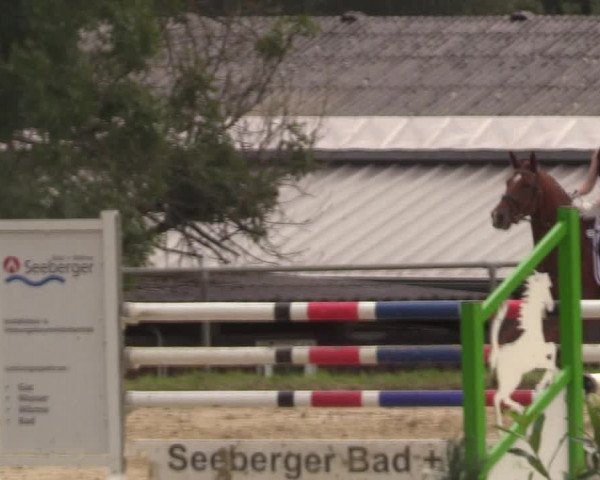 Reitturnier Bühren-Breckerfeld 2017