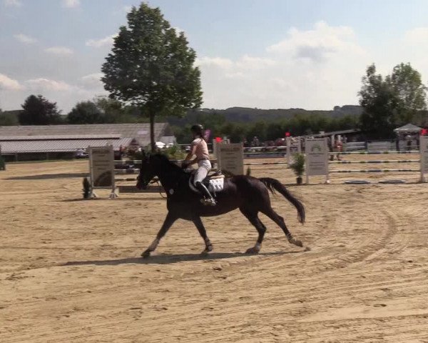 Reitturnier Bühren-Breckerfeld 2017