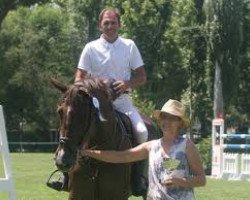 broodmare Cathirana Blue (Oldenburg show jumper, 2006, from Chacco-Blue)