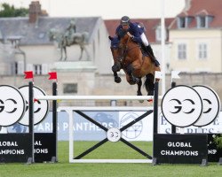 jumper Hh Qualido 3 (Hanoverian, 2008, from Quicksilber)