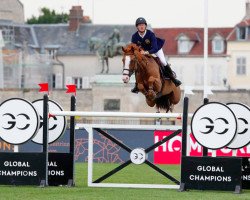 jumper Lady Cracotte (Sella Italiano, 2008, from Quaprice Z)