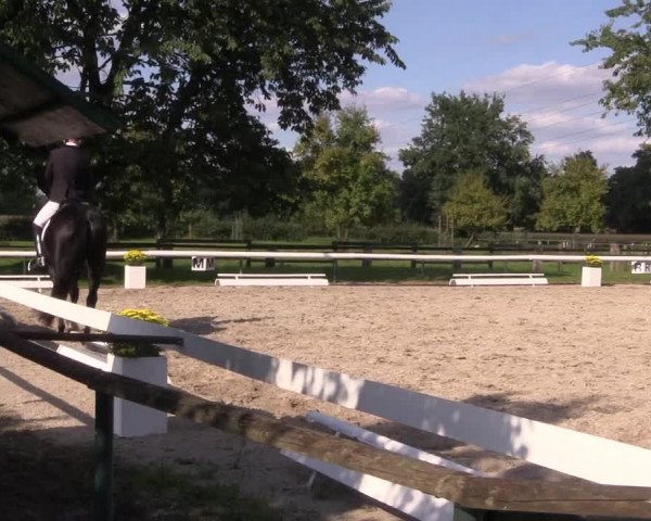 Reitturnier Recklinghausen 2017