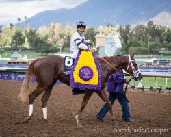 broodmare Take Charge Brandi xx (Thoroughbred, 2012, from Giant's Causeway xx)