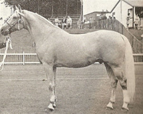 stallion Mack's Golden Stepper (American Trotter, 1959, from Mack's Ace)