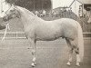 stallion Mack's Golden Stepper (American Trotter, 1959, from Mack's Ace)