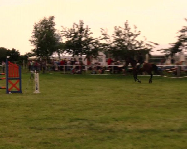 Reitturnier Berlin-Malchow 2017