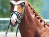 dressage horse Delightful Diamond (Oldenburg, 2014, from Danciano)