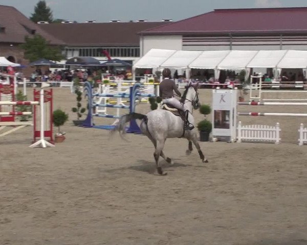 Reitturnier Zweibrücken 2017