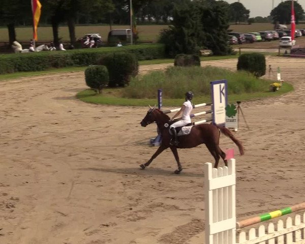 Reitturnier Recklinghausen 2017
